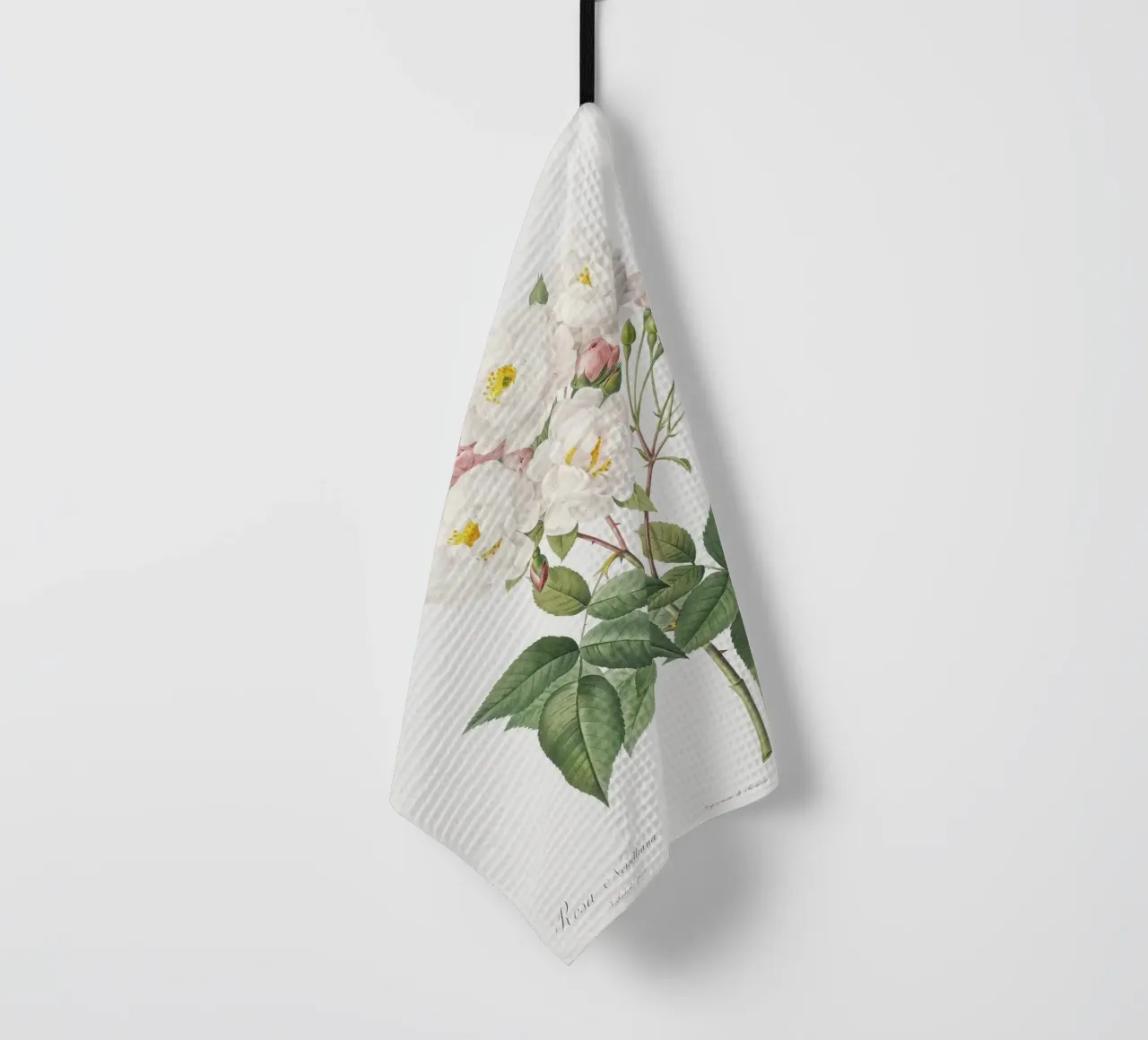 Rosa × noisettiana, nota anche come Rosa di Philippe Noise canovaccio da cucina da Art History