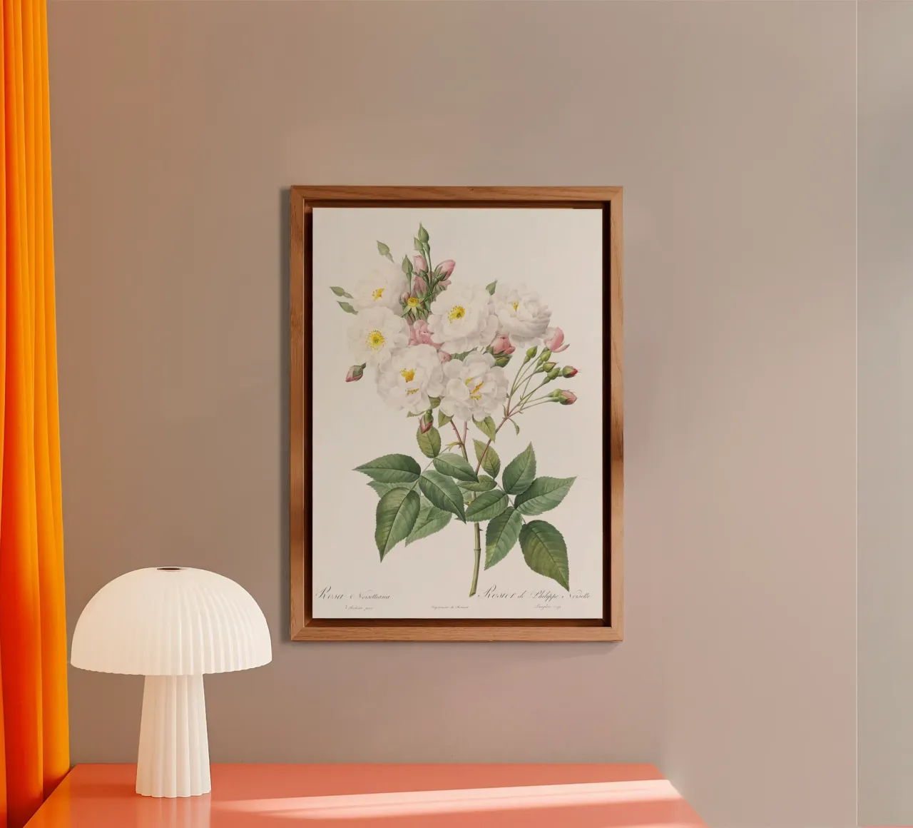 Rosa × noisettiana, nota anche come Rosa di Philippe Noise pannello forex da Art History
