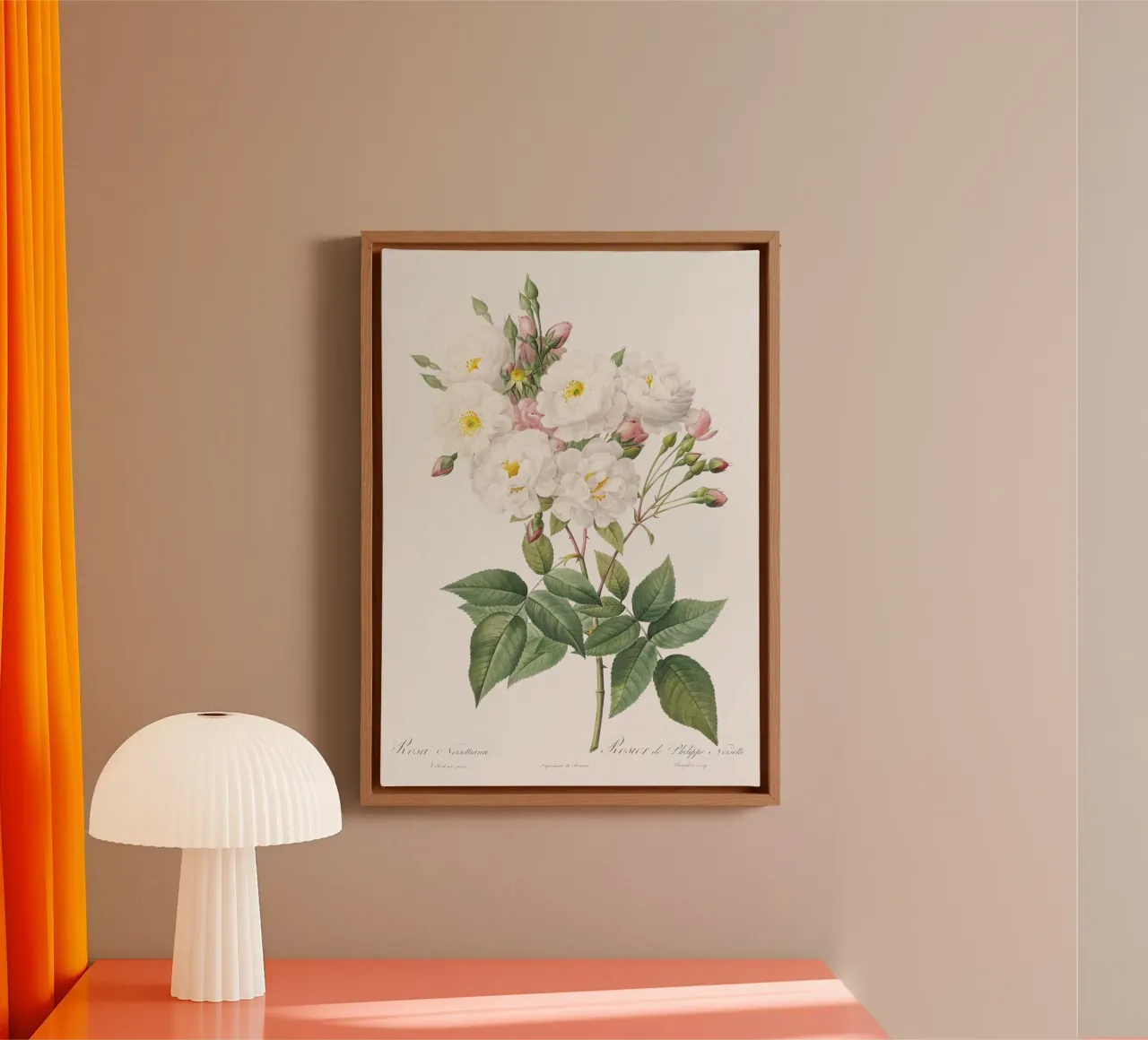 Rosa × noisettiana, nota anche come Rosa di Philippe Noise tela con Cornice a cassetta da Art History