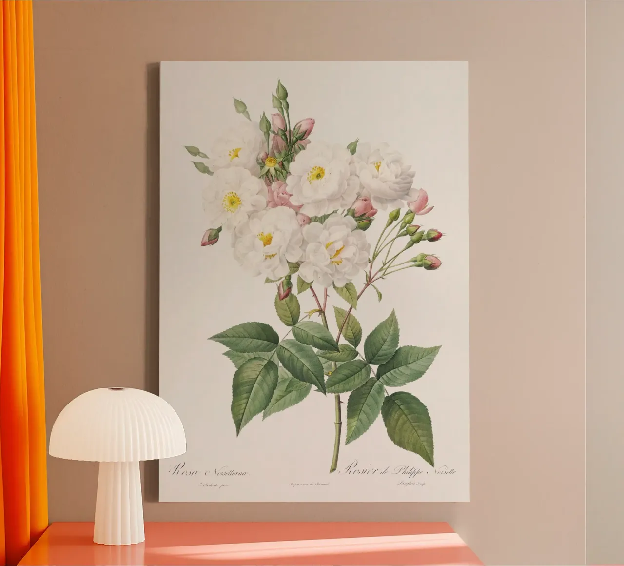 Rosa × noisettiana, nota anche come Rosa di Philippe Noise tela con Cornice a cassetta da Art History