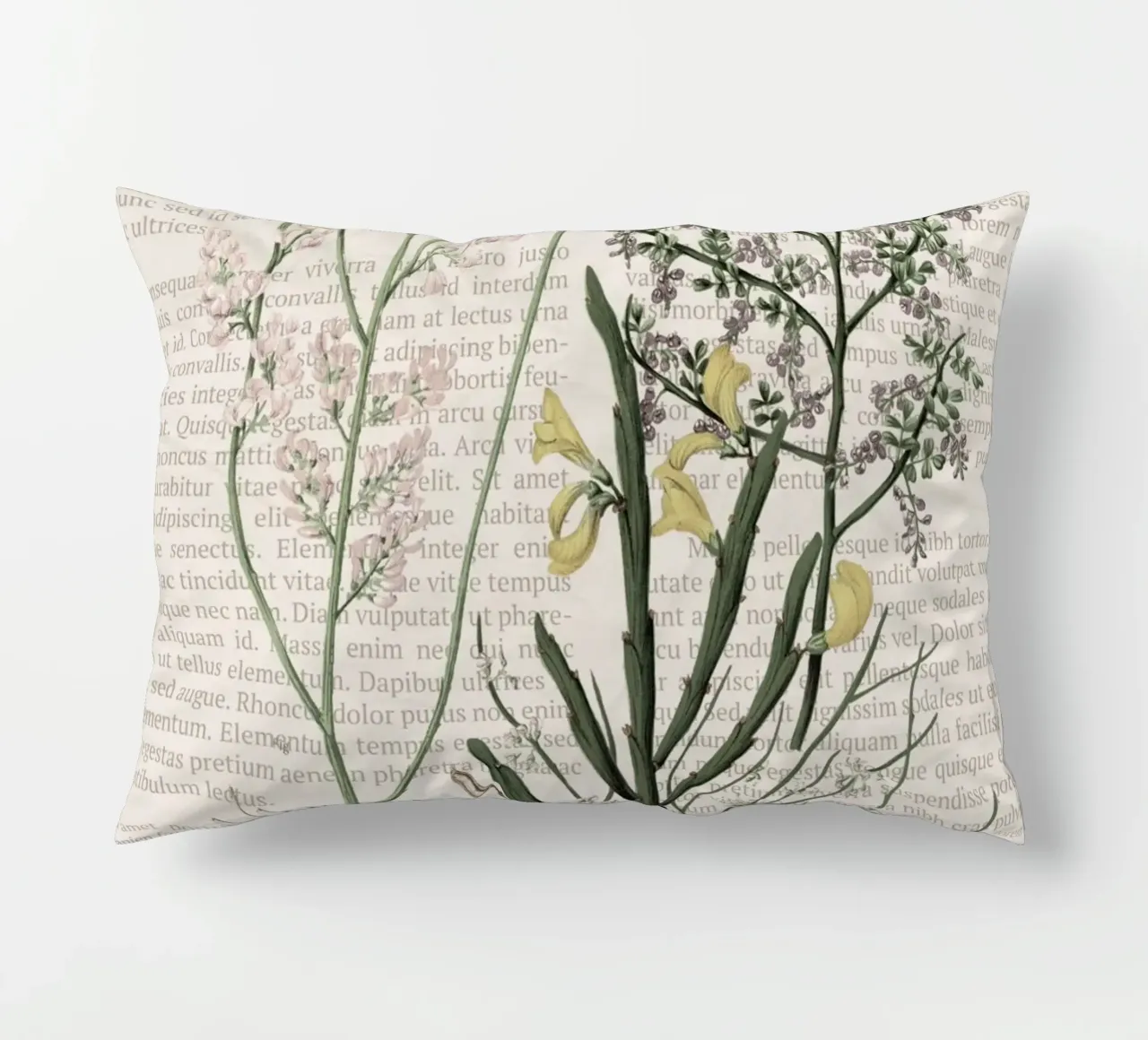 Poster botanico d'epoca su Iris e Baby's Breath cuscino da vintagepod