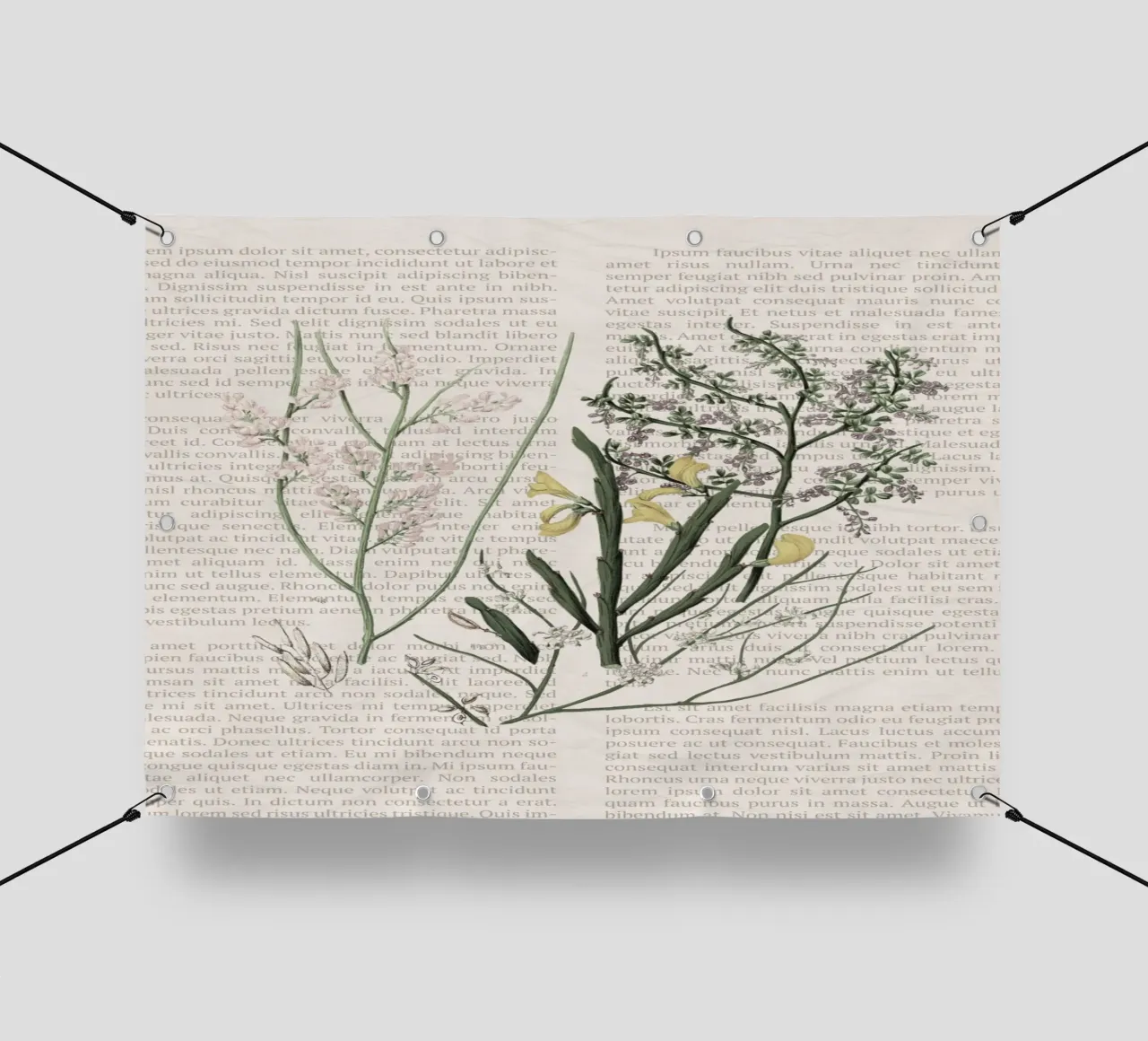 Poster botanico d'epoca su Iris e Baby's Breath telo in pvc da vintagepod