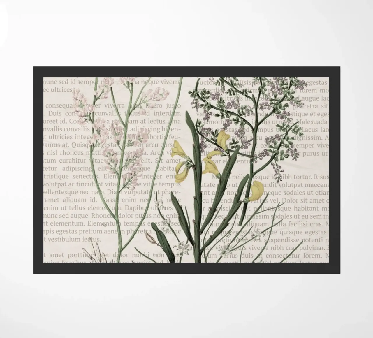 Poster botanico d'epoca su Iris e Baby's Breath zerbino da vintagepod