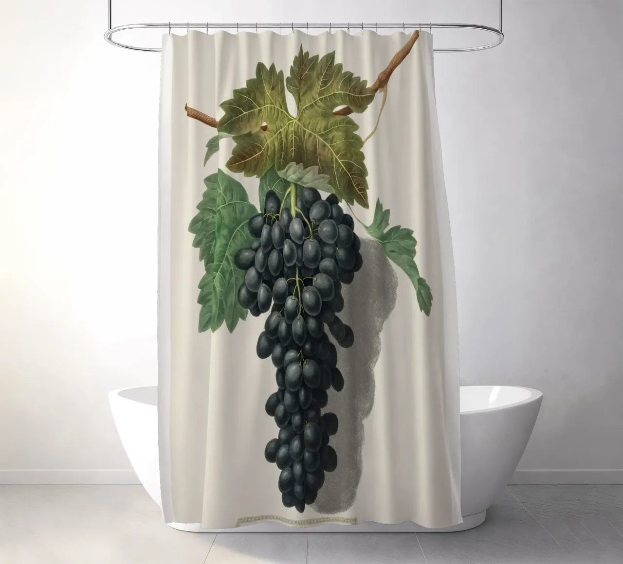 Black Prince Grape tenda da doccia da vintageshop