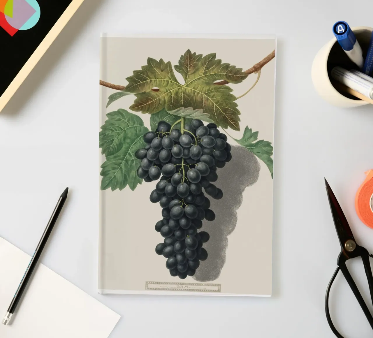 Black Prince Grape notebook by vintageshop