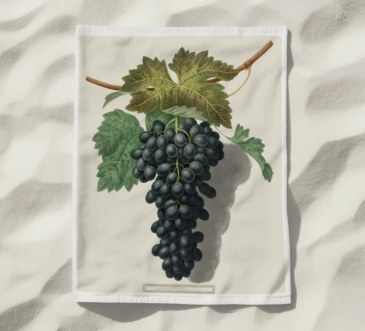 Black Prince Grape telo mare da vintageshop