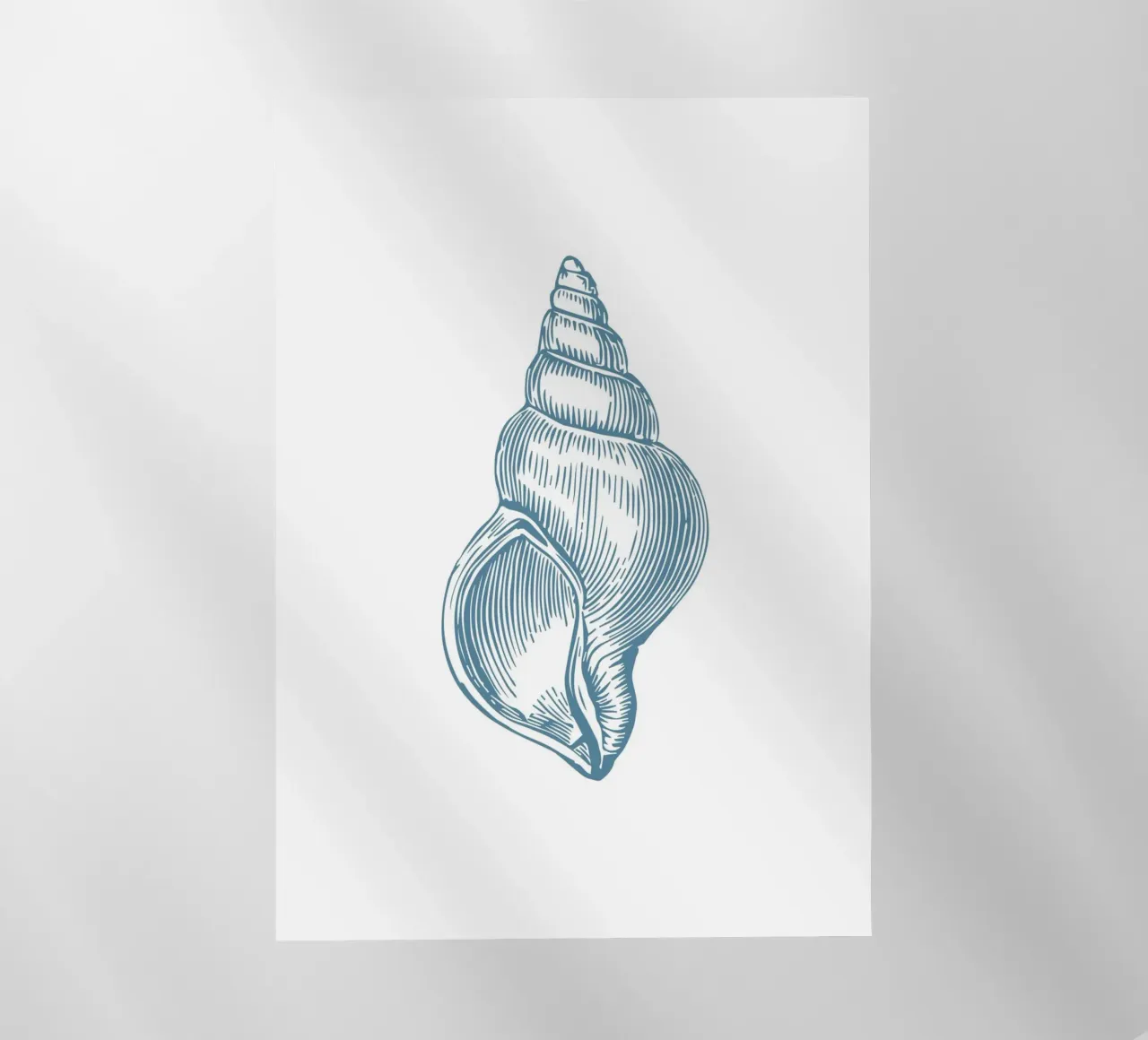 Nautilus Shell Vintage Ocean Line Art Poster pellicola backlit da dawnthesea