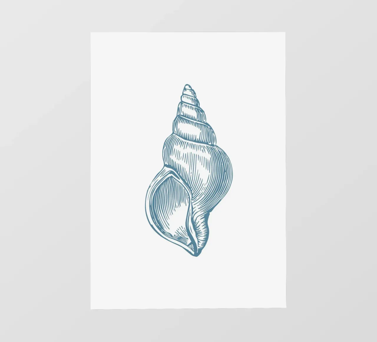 Nautilus Shell Vintage Ocean Line Art Poster pellicola backlit da dawnthesea