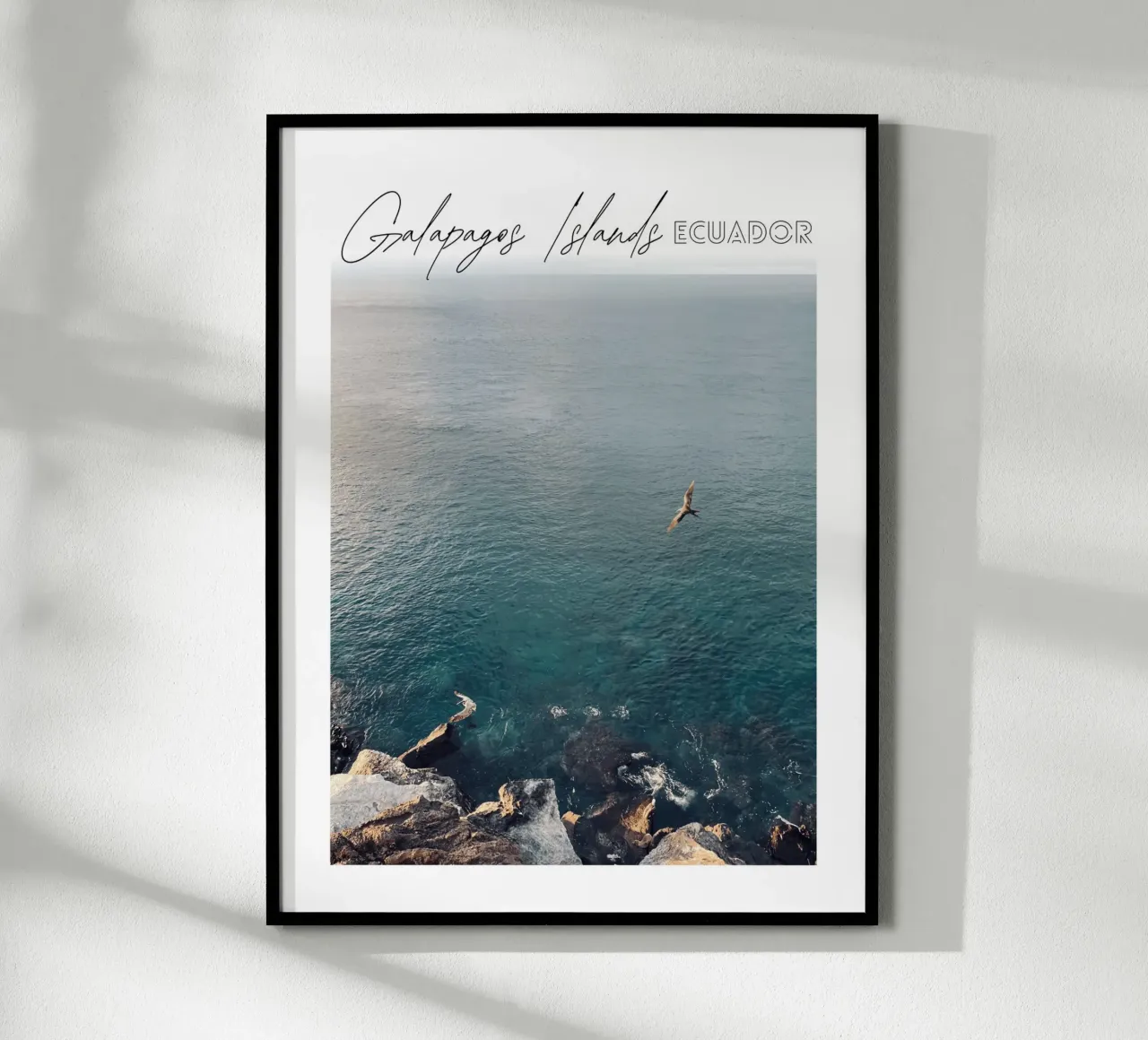 Libertà - Uccelli sul mare, Isole Galapagos, Ecuador poster con telaio in legno da Roamance Studio