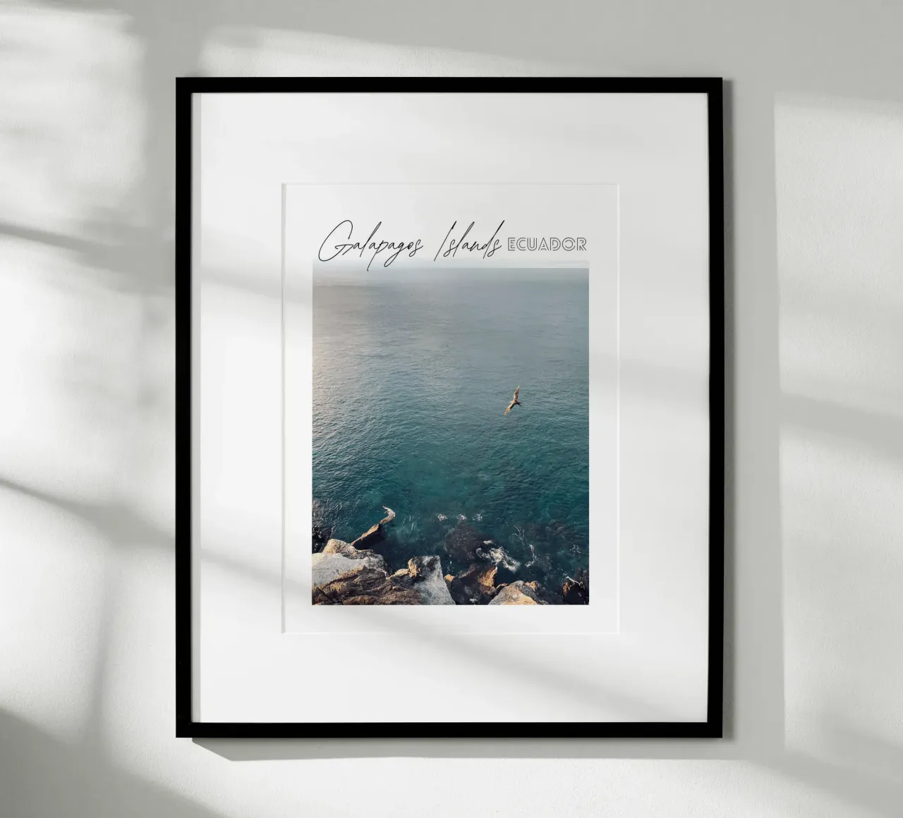 Libertà - Uccelli sul mare, Isole Galapagos, Ecuador poster con telaio in legno da Roamance Studio
