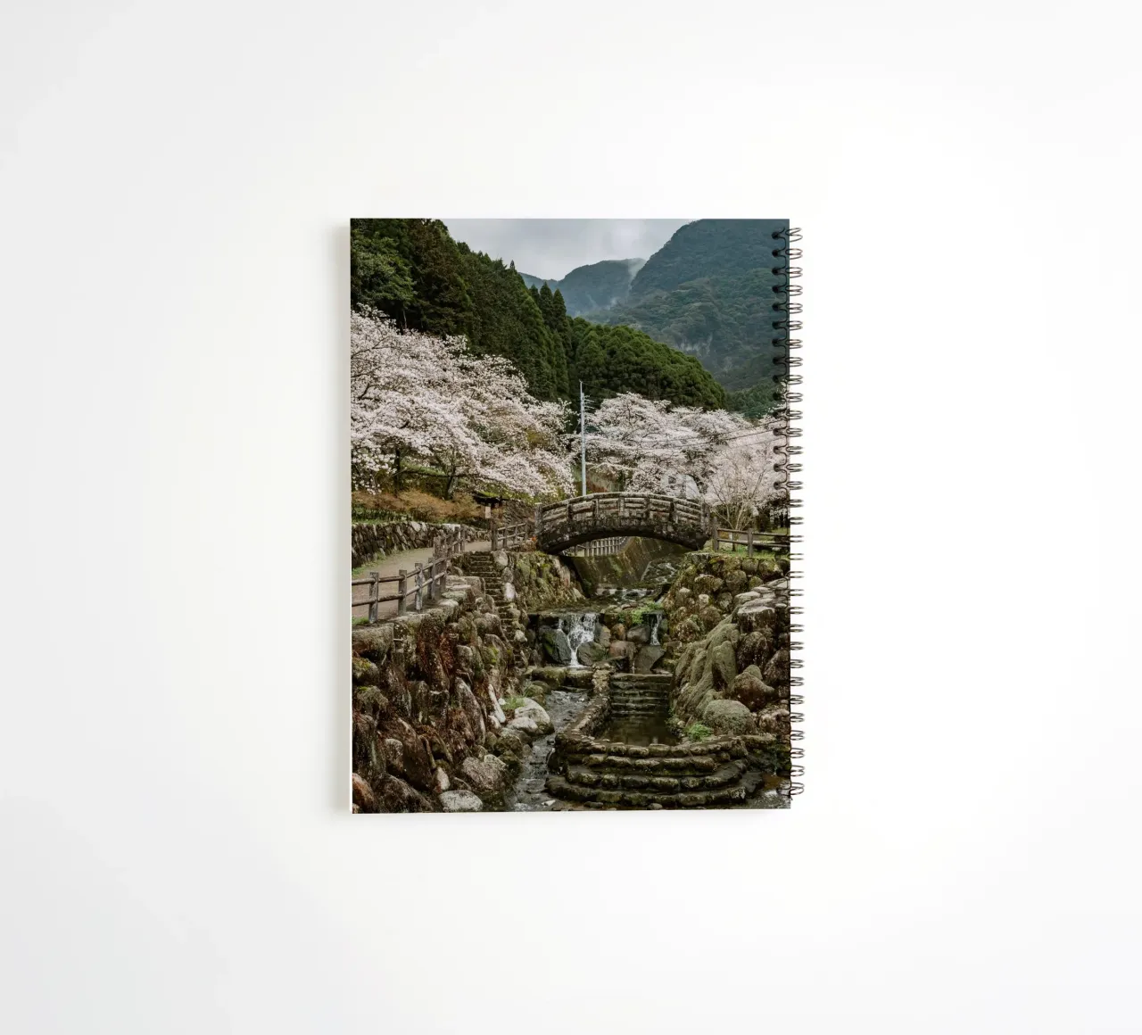 Paesaggio di ciliegi in fiore a Kyushu, Giappone diario ad anelli da Marcel Bisig