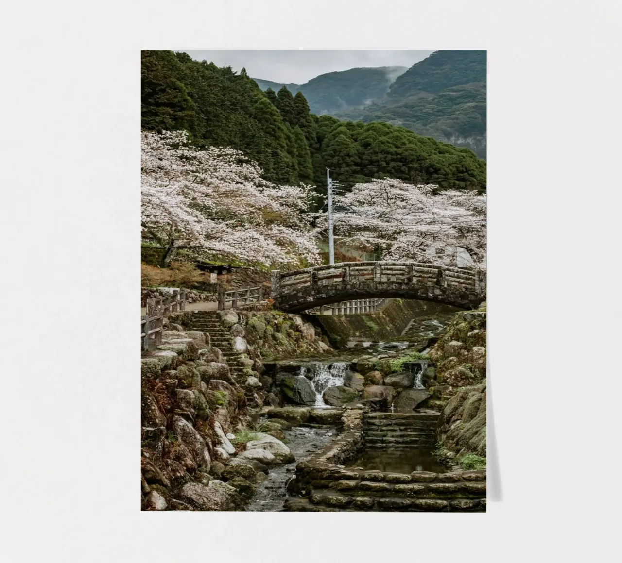 Paesaggio di ciliegi in fiore a Kyushu, Giappone foglio adesivo da Marcel Bisig