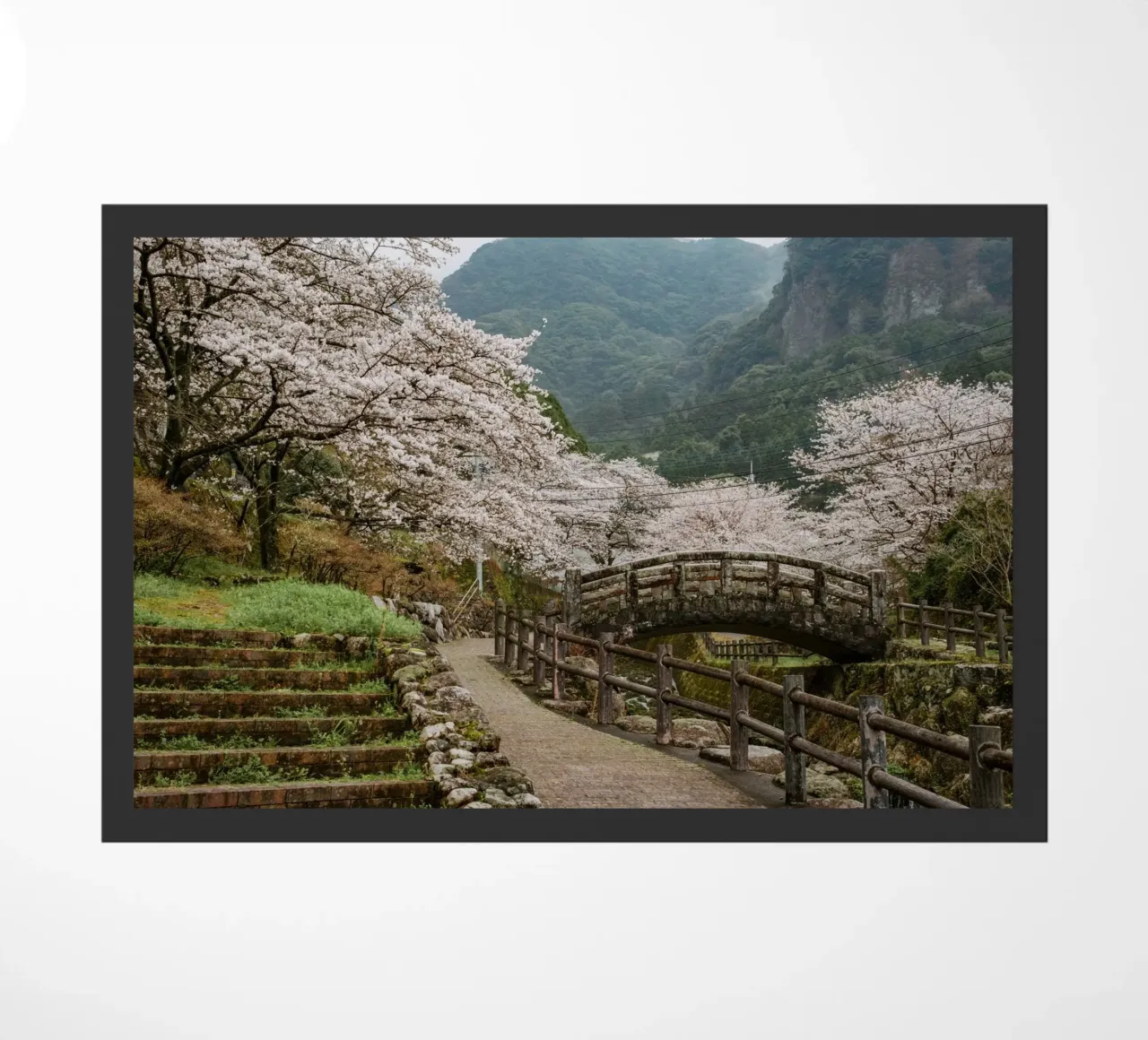 Paesaggio di ciliegi in fiore a Kyushu, Giappone zerbino da Marcel Bisig