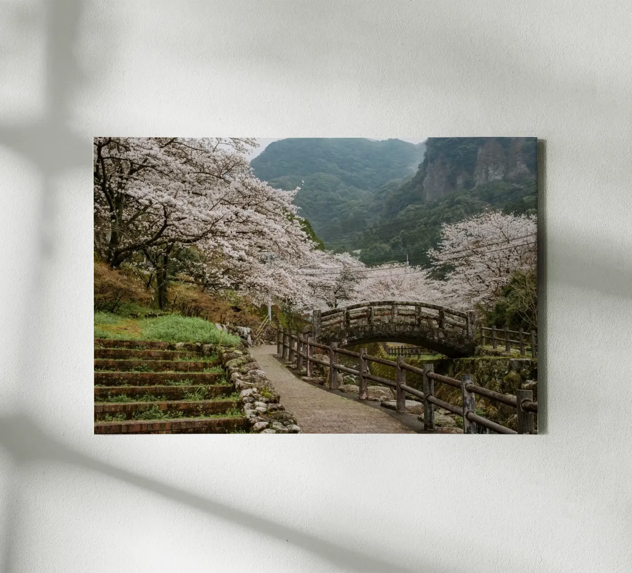 Paesaggio di ciliegi in fiore a Kyushu, Giappone tela con Cornice a cassetta da Marcel Bisig