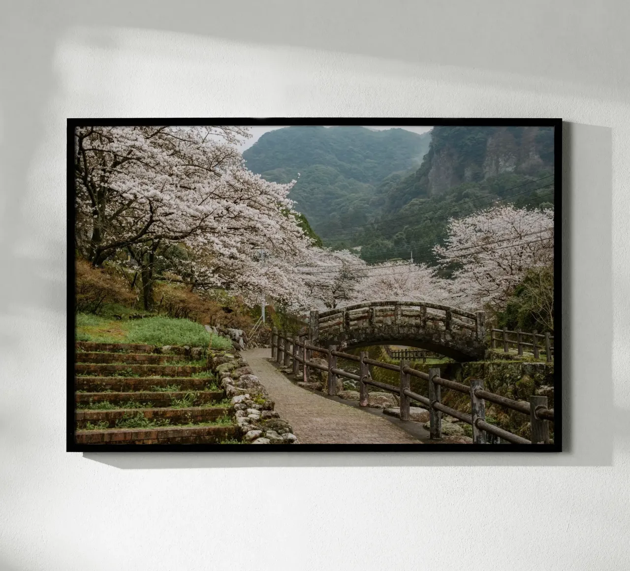 Paesaggio di ciliegi in fiore a Kyushu, Giappone poster con telaio in legno da Marcel Bisig