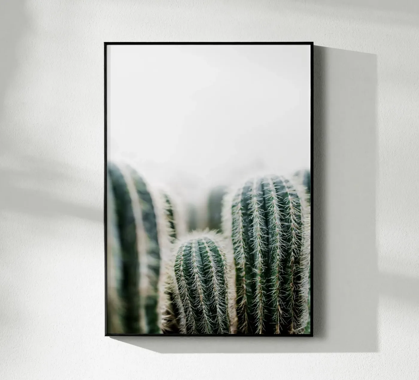 Cactus 1 Acryl-Glas von Mareike Böhmer Photography