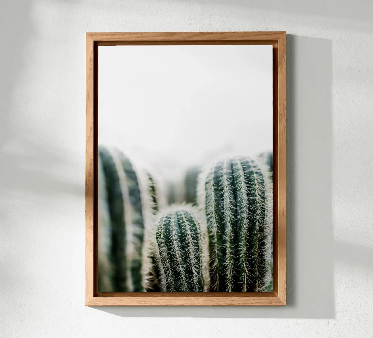 Cactus 1 alluminio dibond da Mareike Böhmer Photography
