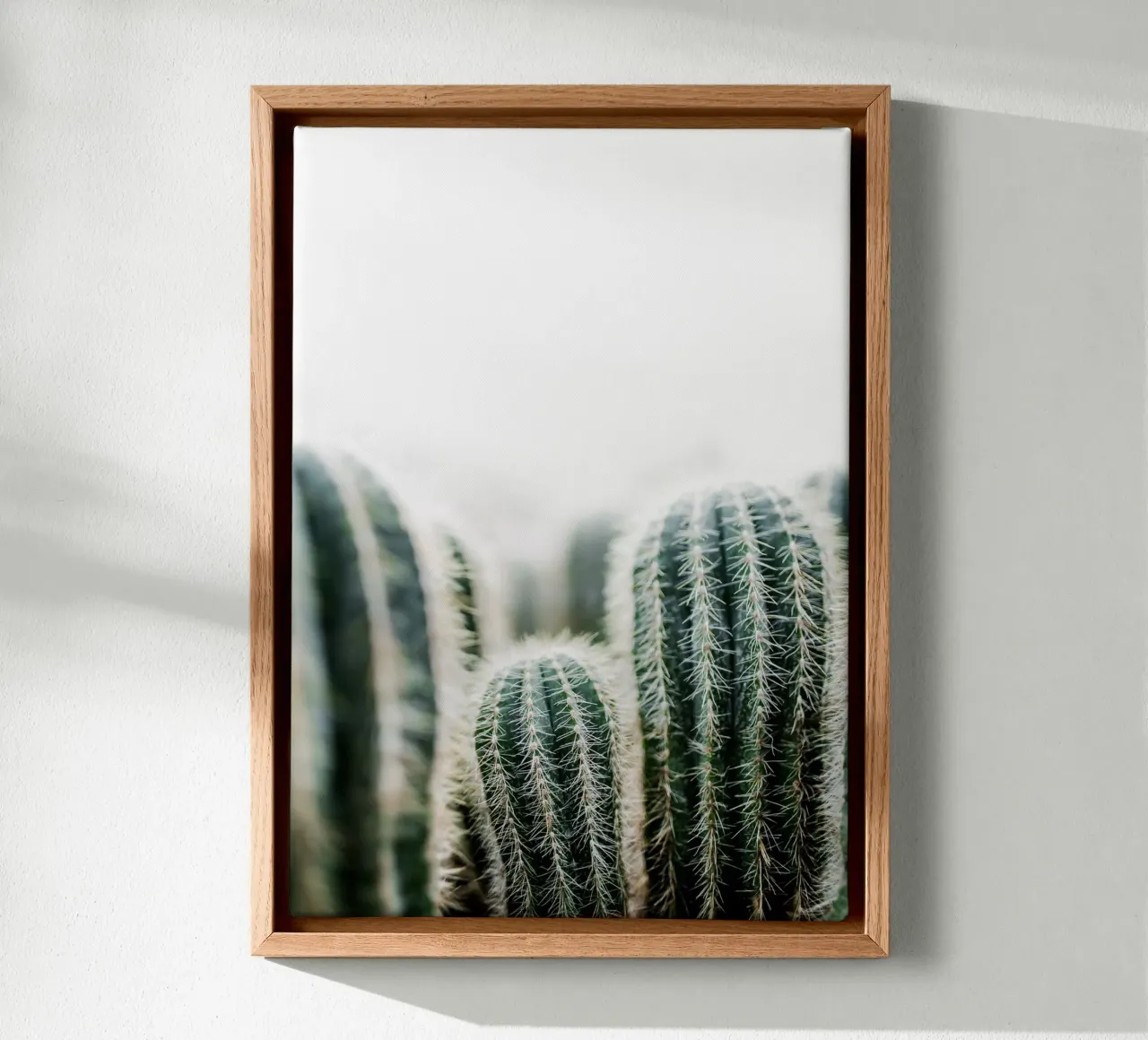 Cactus 1 tela con Cornice a cassetta da Mareike Böhmer Photography