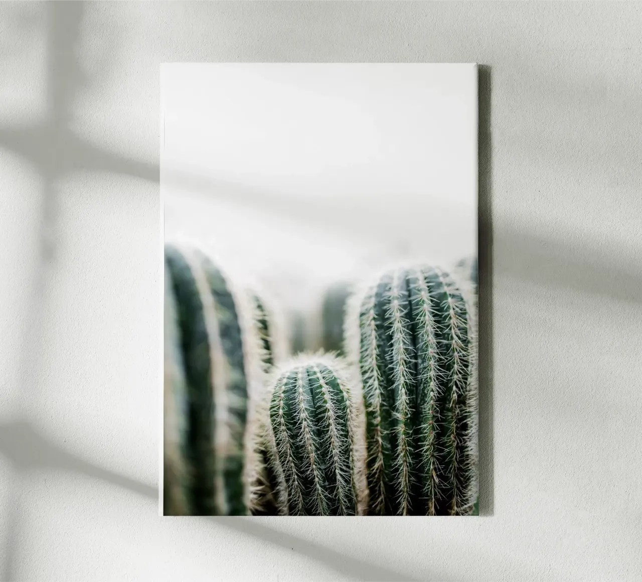 Cactus 1 tela con Cornice a cassetta da Mareike Böhmer Photography