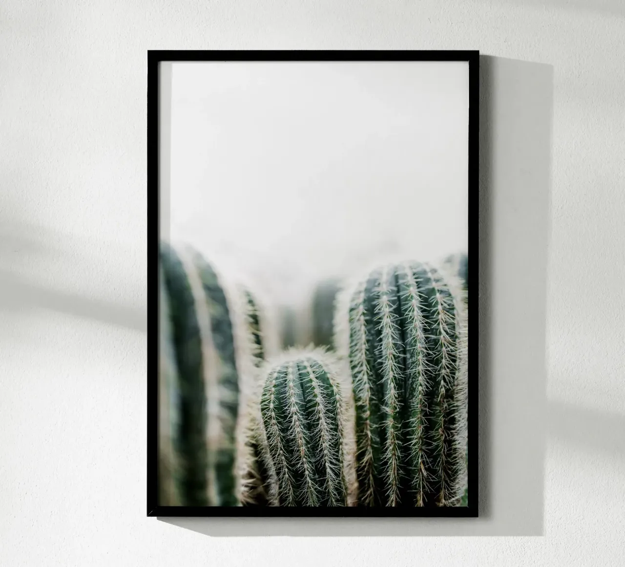 Cactus 1 poster da Mareike Böhmer Photography