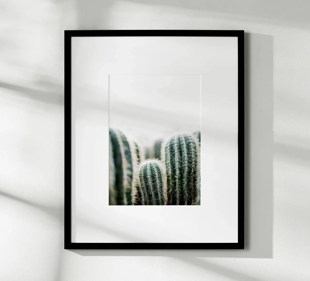 Cactus 1 poster da Mareike Böhmer Photography