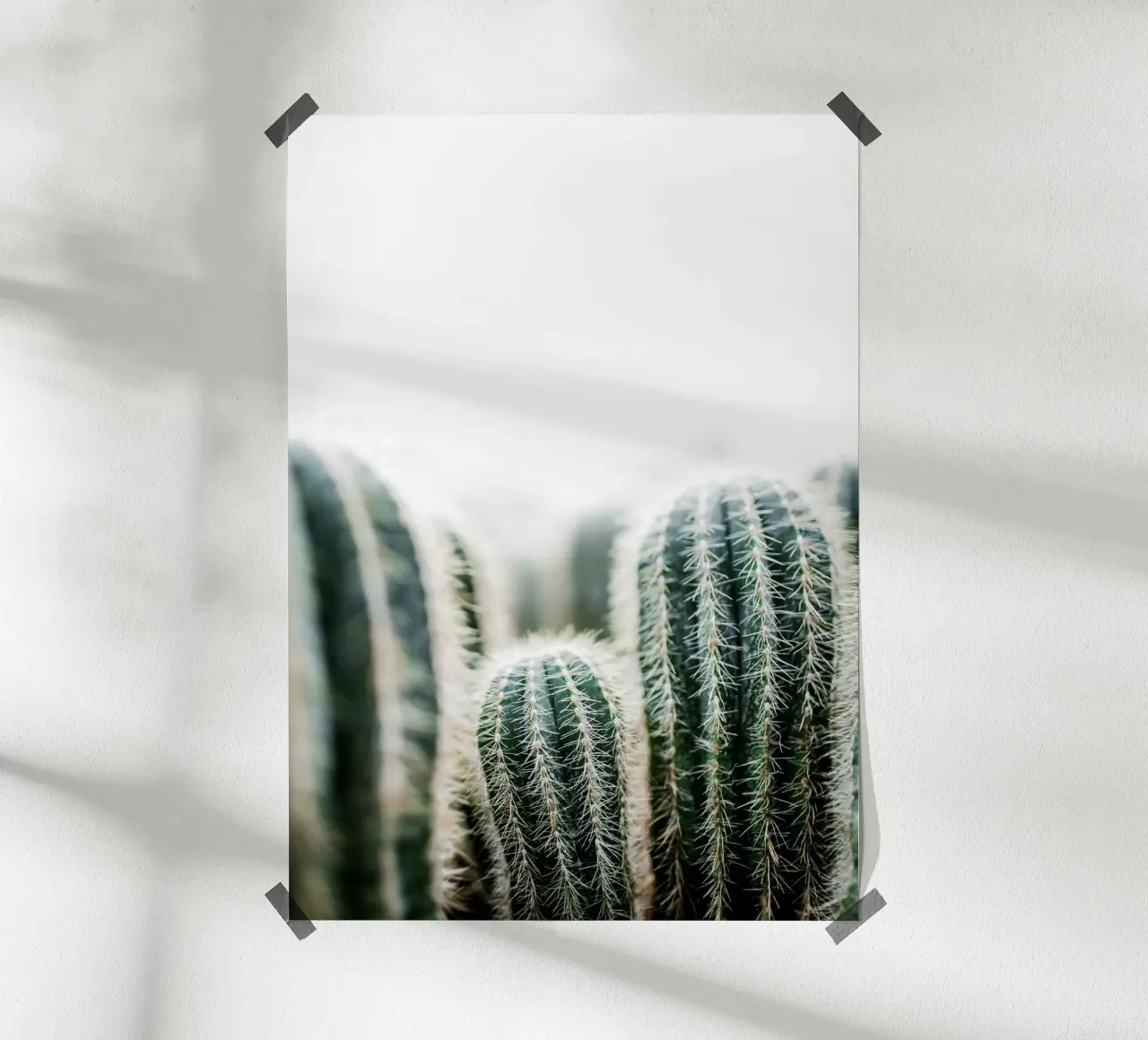 Cactus 1 poster da Mareike Böhmer Photography