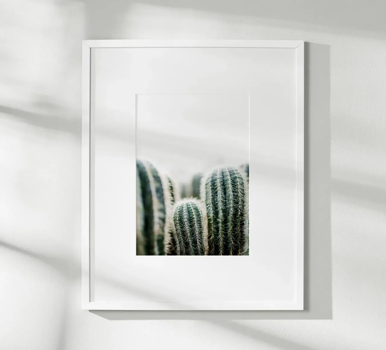 Cactus 1 poster da Mareike Böhmer Photography