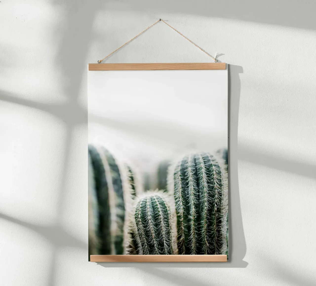 Cactus 1 poster da Mareike Böhmer Photography