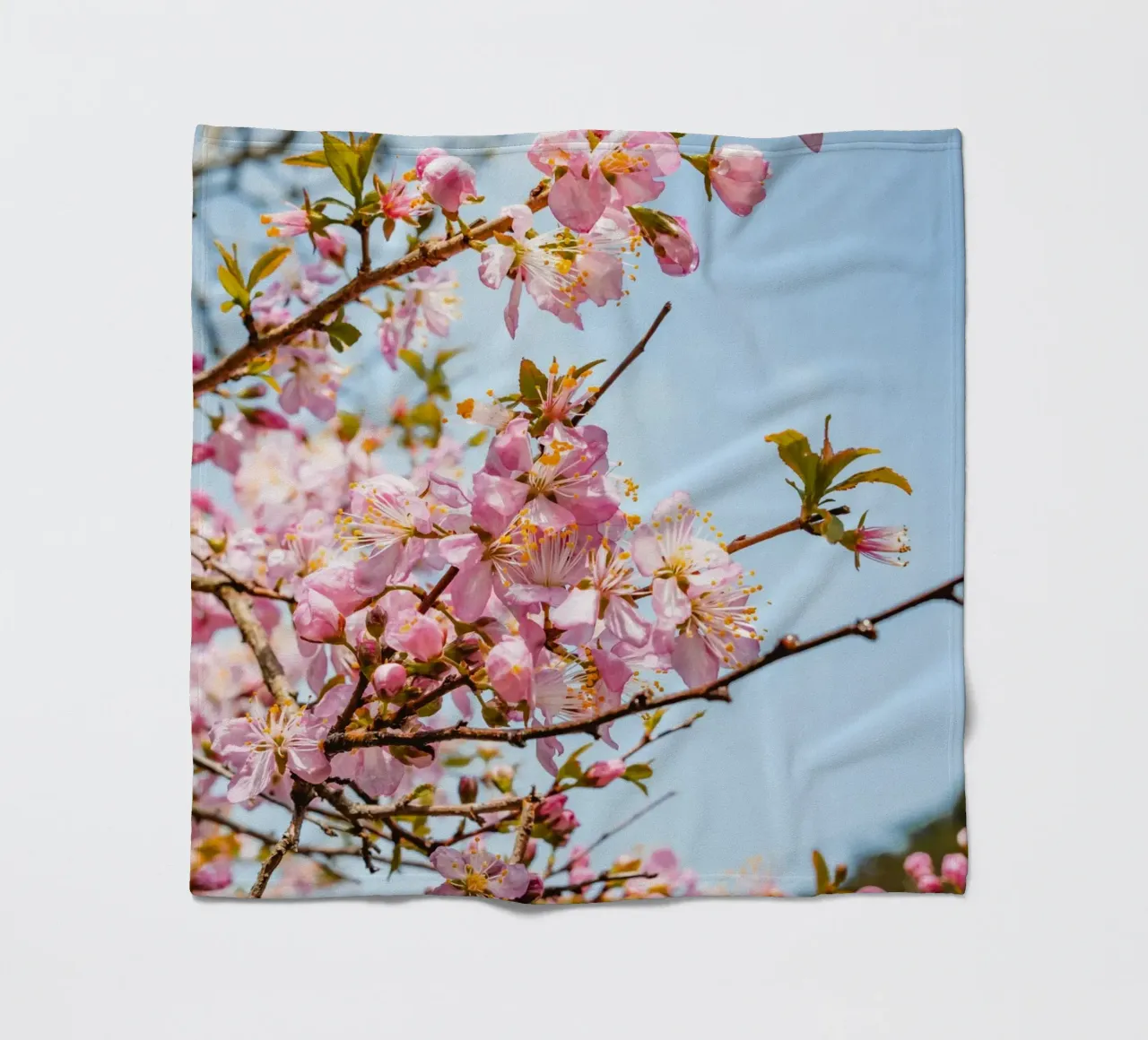 Fiori di ciliegio rosa coperta in pile da Marcel Bisig