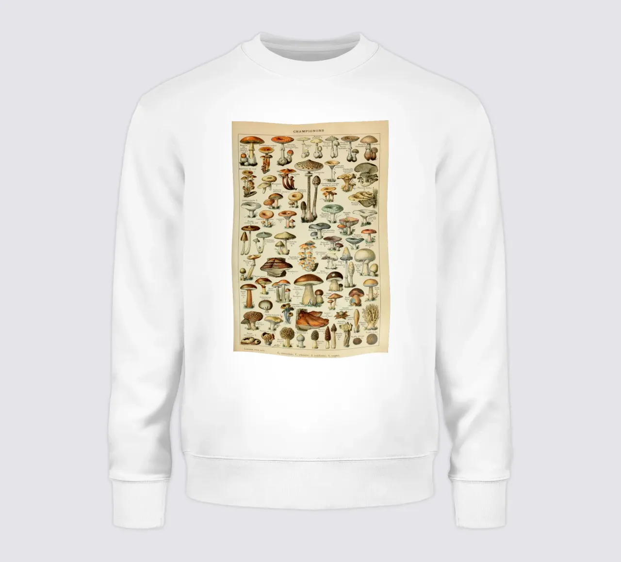 funghi funghi felpa da Alexa Bell
