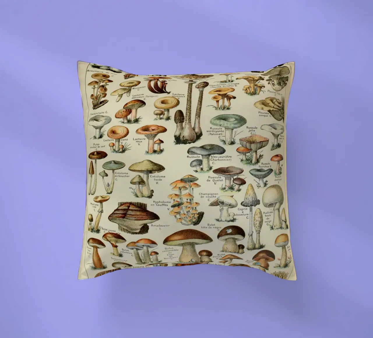 funghi funghi cuscino da Alexa Bell