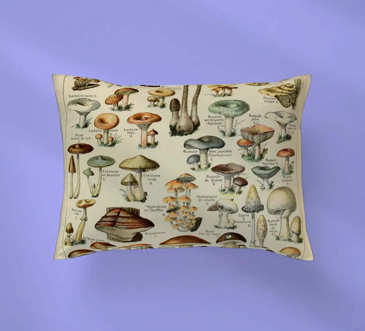 funghi funghi cuscino da Alexa Bell