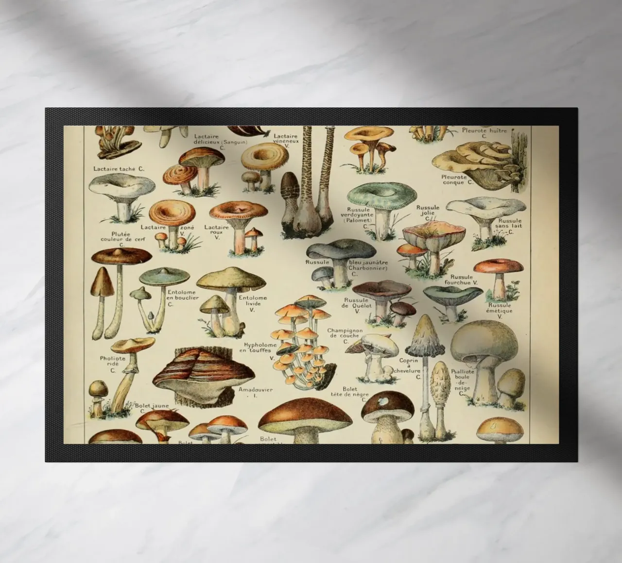funghi funghi zerbino da Alexa Bell