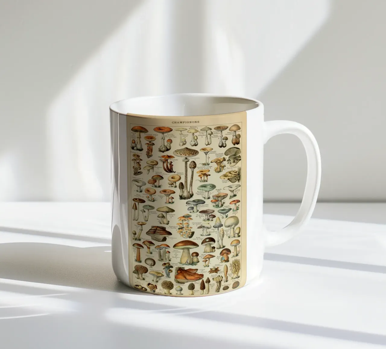 funghi funghi tazza in ceramica da Alexa Bell