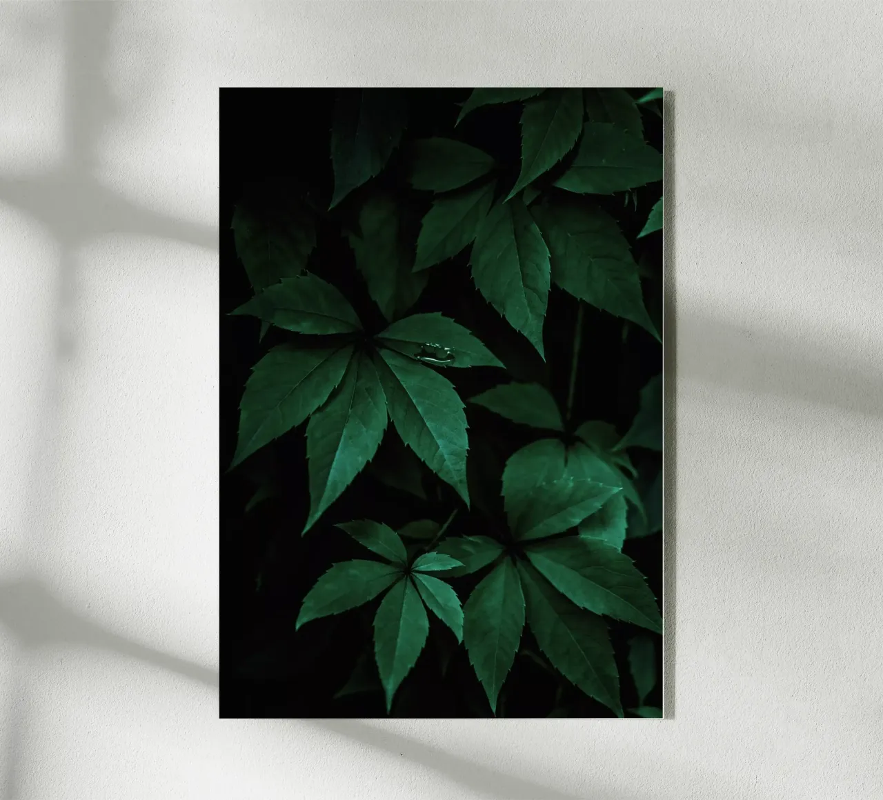 Dark Leaves 7 plexiglass da Mareike Böhmer Photography