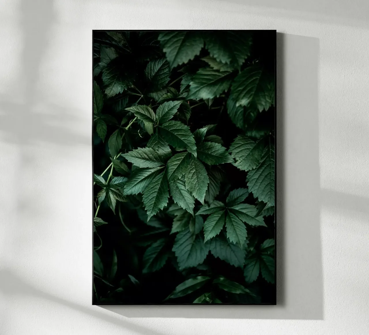 Dark Leaves 13 plexiglass da Mareike Böhmer Photography