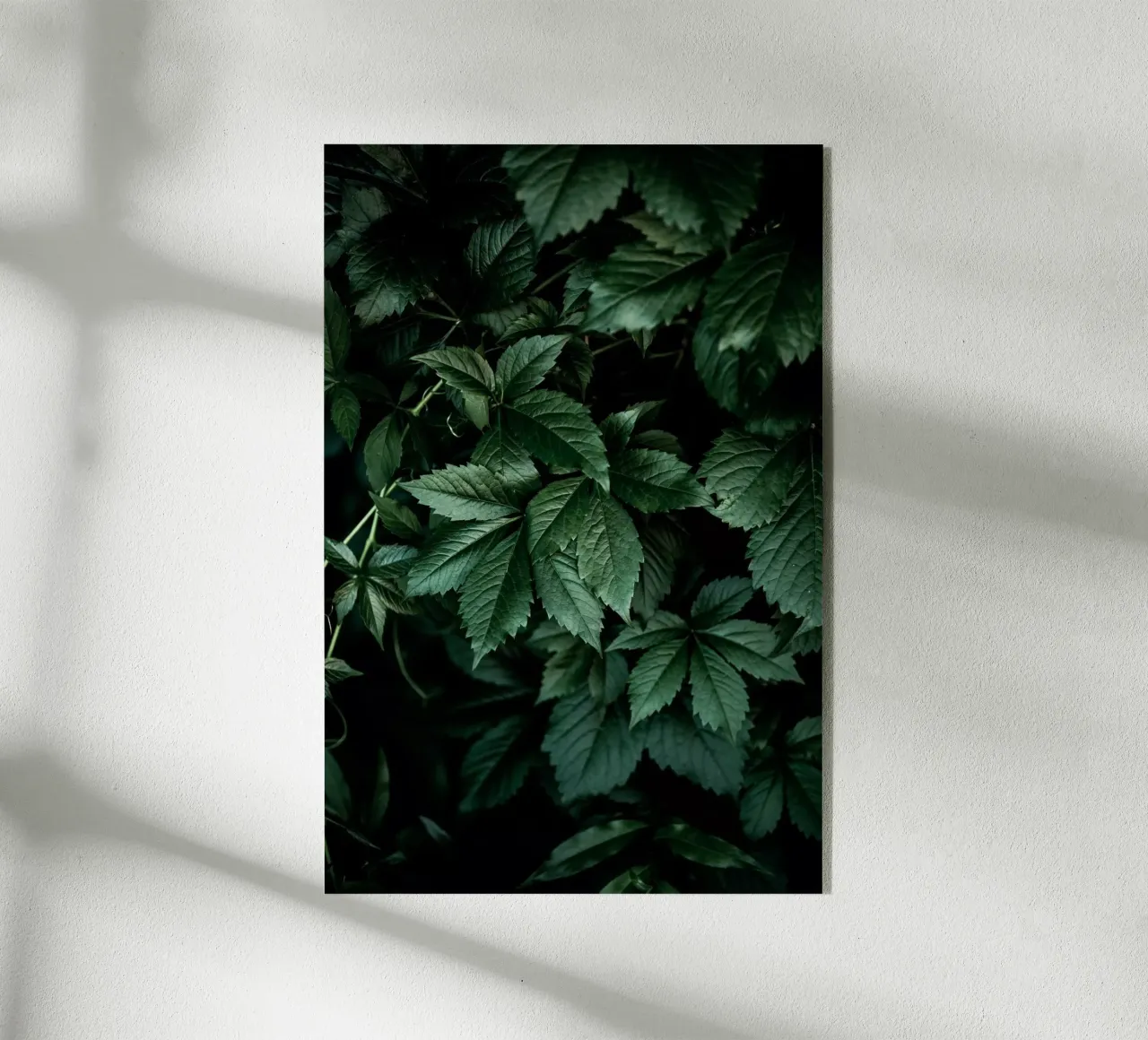 Dark Leaves 13 plexiglass da Mareike Böhmer Photography