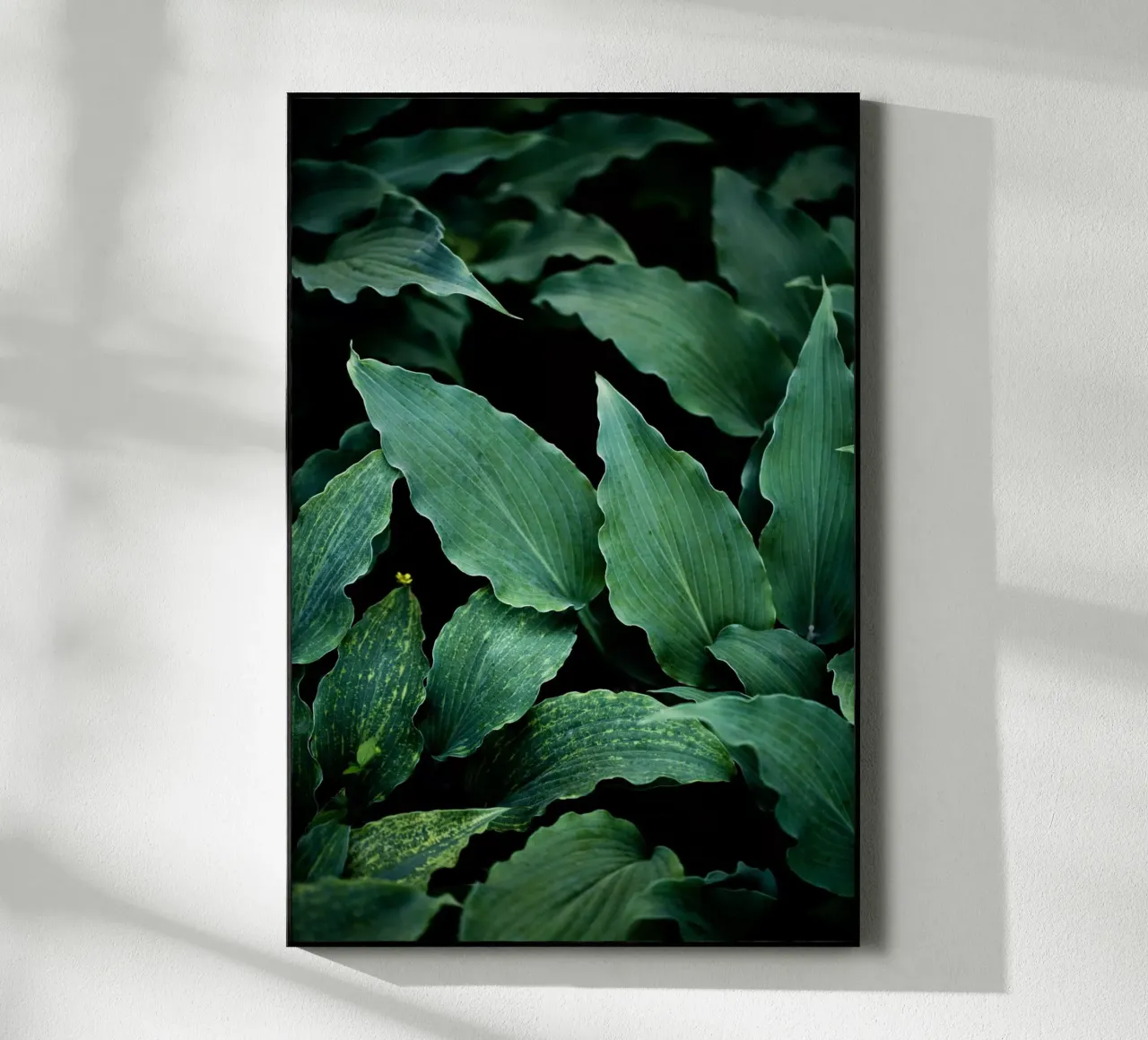 Dark Leaves 15 plexiglass da Mareike Böhmer Photography