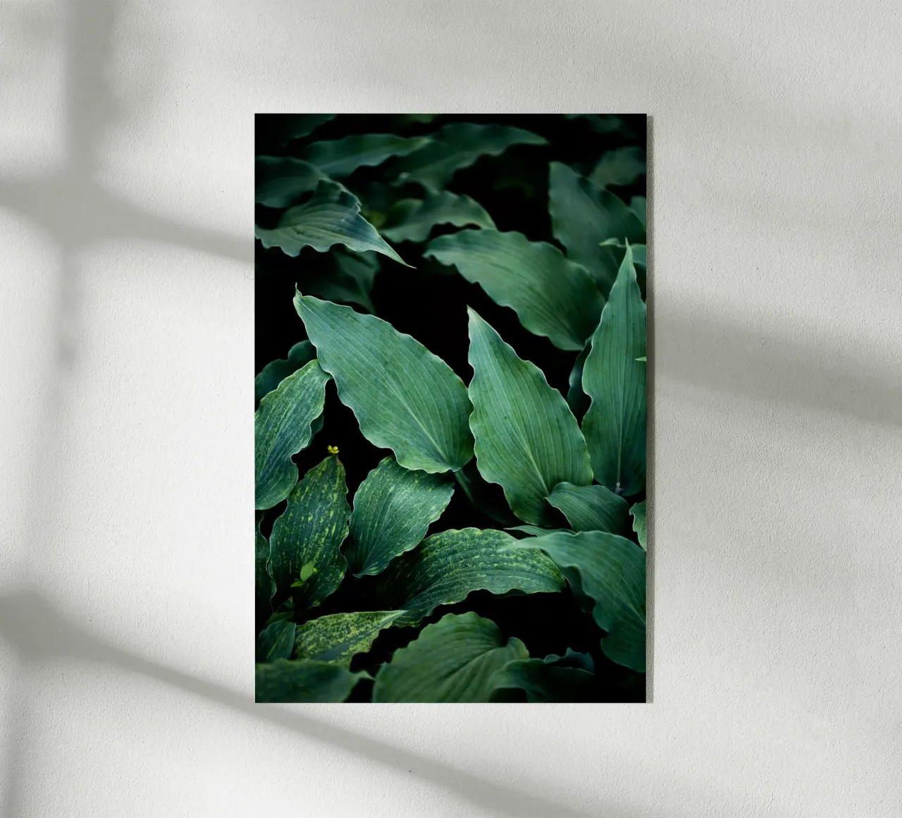 Dark Leaves 15 plexiglass da Mareike Böhmer Photography