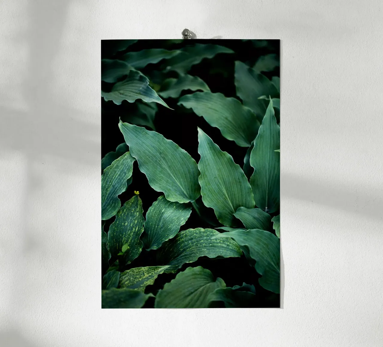 Dark Leaves 15 poster con telaio in plastica da Mareike Böhmer Photography