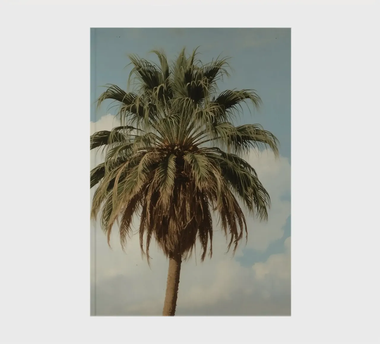 Tall palm tree with blue sky with fluffy clouds in warm ligh notebook by DesignDoodle