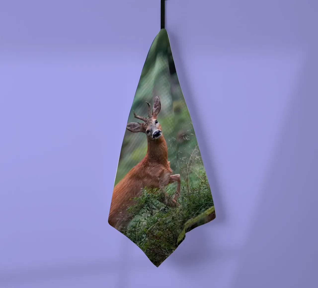 Capriolo maschio canovaccio da cucina da Tom's Wildlife