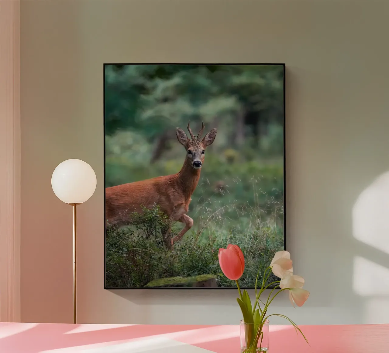 Capriolo maschio plexiglass da Tom's Wildlife