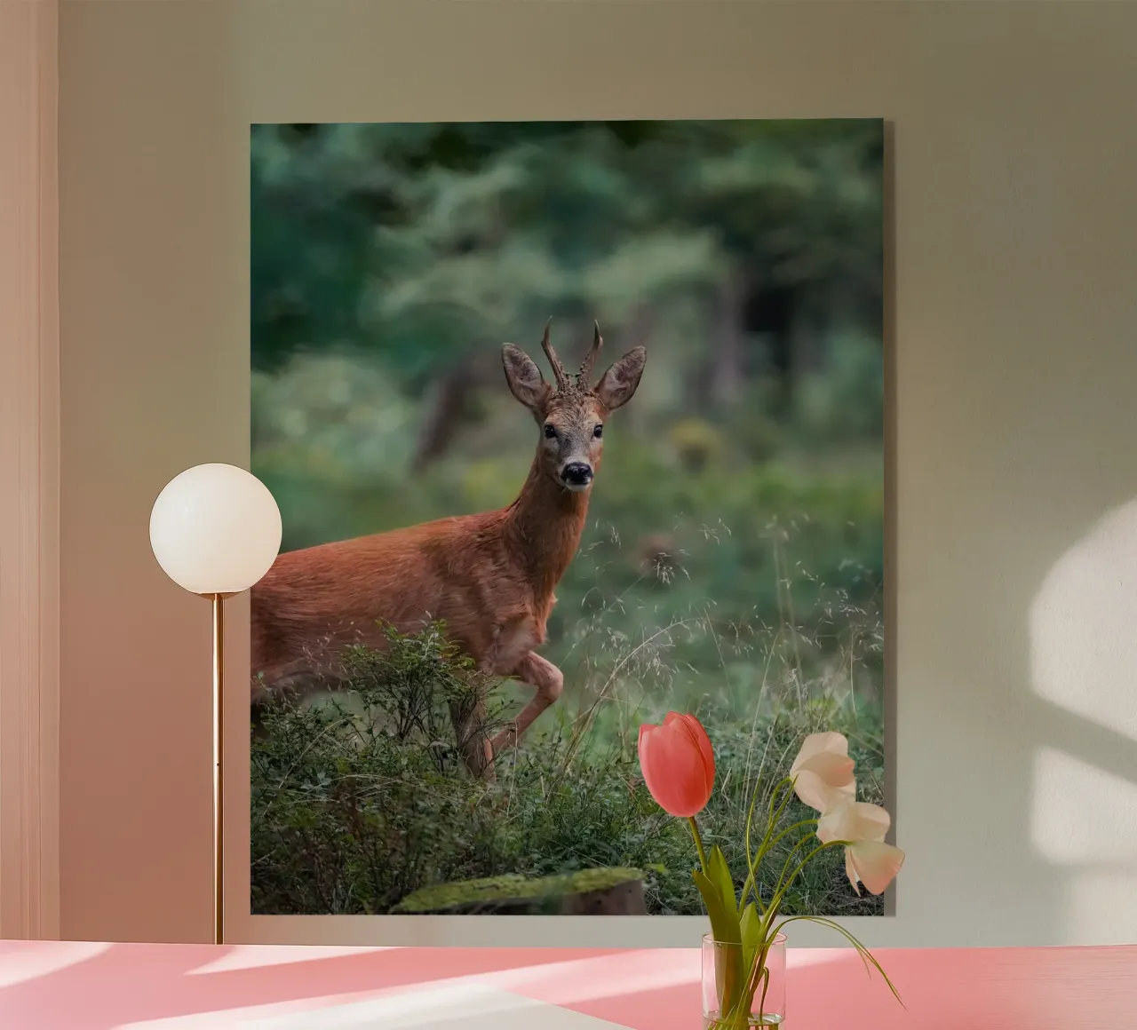 Capriolo maschio plexiglass da Tom's Wildlife