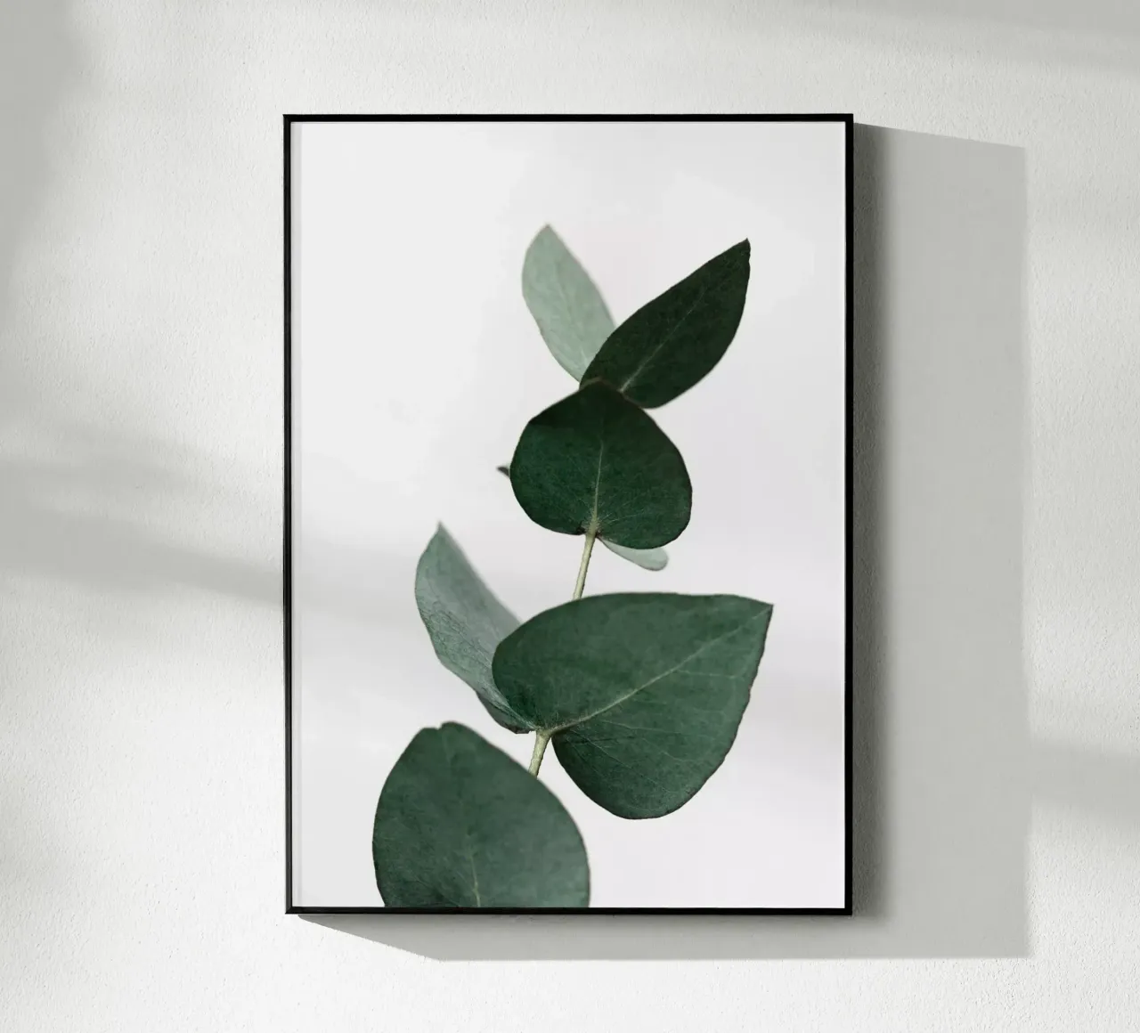 Eucalyptus 4 plexiglass da Mareike Böhmer Photography