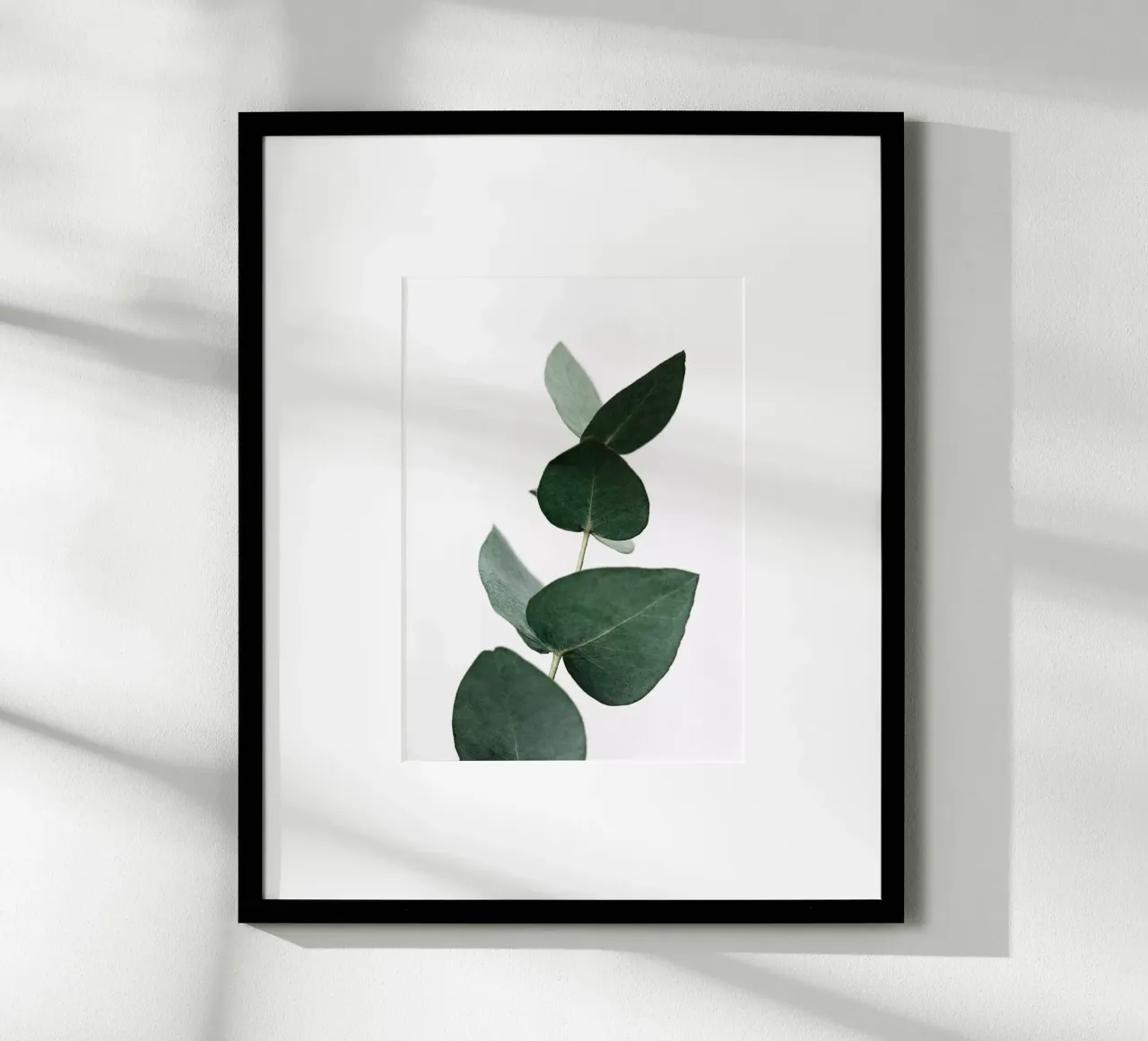 Eucalyptus 4 poster da Mareike Böhmer Photography