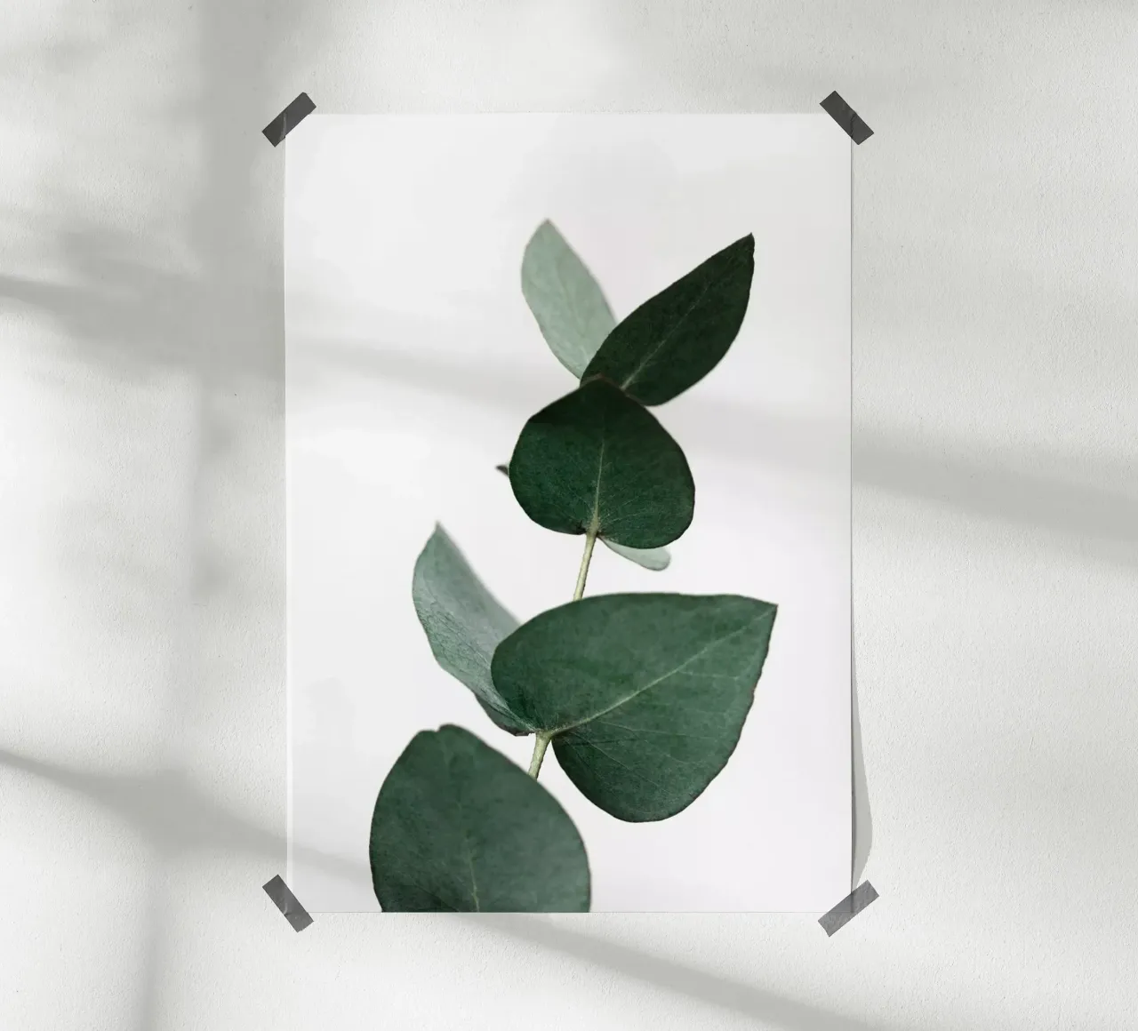 Eucalyptus 4 poster da Mareike Böhmer Photography