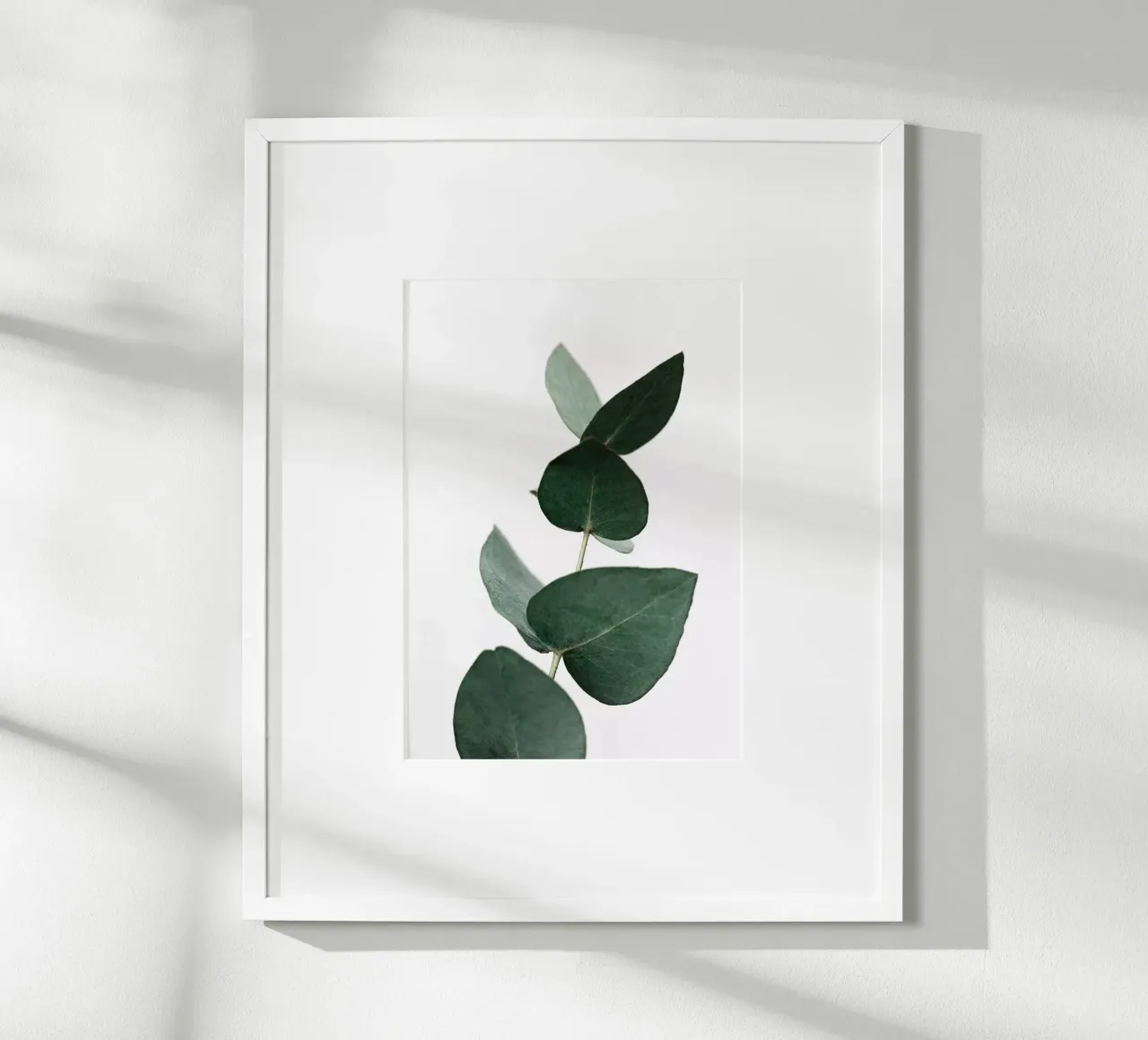 Eucalyptus 4 poster da Mareike Böhmer Photography