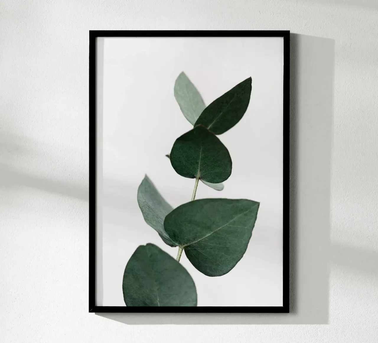 Eucalyptus 4 poster da Mareike Böhmer Photography