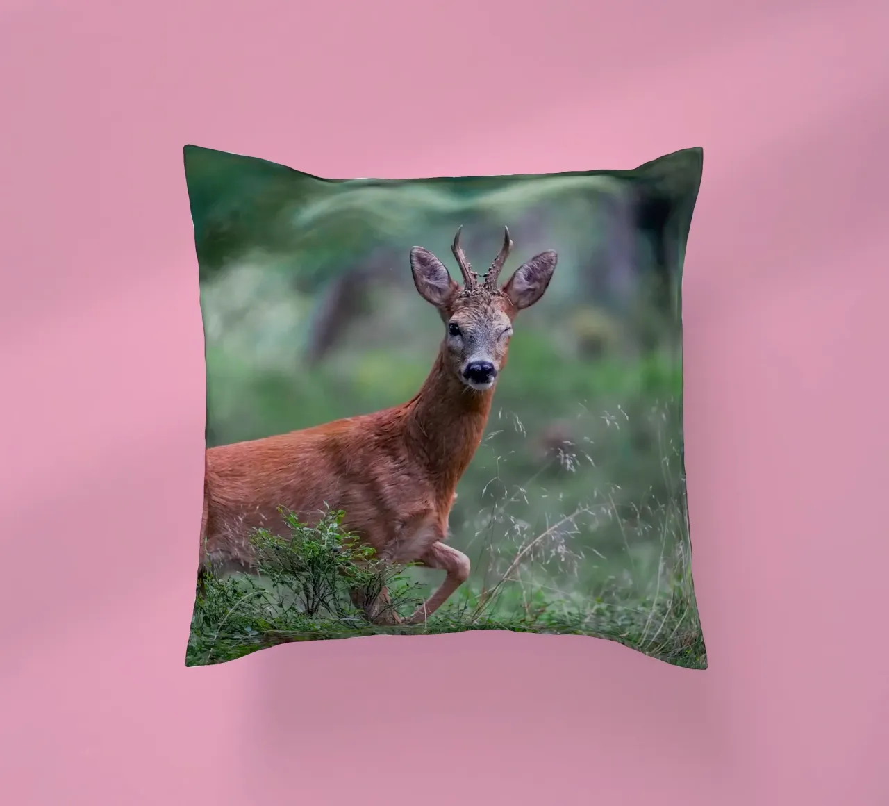 Il capriolo fa l'occhiolino cuscino da Tom's Wildlife